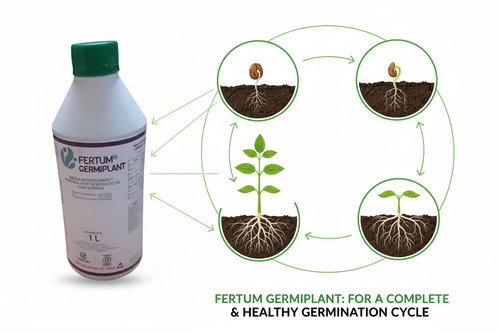 FERTUM GERMIPLANT 1L - Proceso de germinación