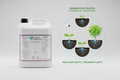 FERTUM GERMIPLANT 5L - Proceso de germinación