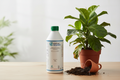 FERTUM RECOVERY 1L - Planta recuperándose del estrés