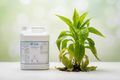 FERTUM RECOVERY 5L - Planta recuperándose vigorosamente del estrés