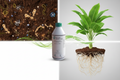 FERTUM BIOFERT PLUS - Beneficios en suelo y desarrollo de raíces