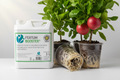 FERTUM BOOSTER 5L - Desarrollo de raíces saludables