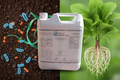 FERTUM BIOFERT PLUS 5L - Beneficios en suelo y desarrollo de raíces